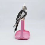 Detachable Bird Training Stand Tabletop Parrot Perch Wood Platform Toy - GreenFur