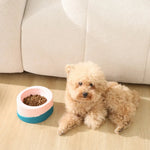 Detachable Double Bowl Stainless Steel Pet Feeder and Slow Feeder Base - GreenFur