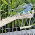 Detachable Hanging Bird Perches Platform Swing with Ladder - GreenFur