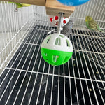 Detachable Hanging Bird Stand Perch Toy with Rotating Balls - GreenFur
