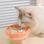 Detachable Inner Bowl Design Four - Paw Pig Snout PP Cat Bowl - GreenFur