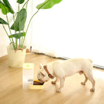 Detachable Large - Capacity Automatic Gravity Durable PP Pet Feeder - GreenFur