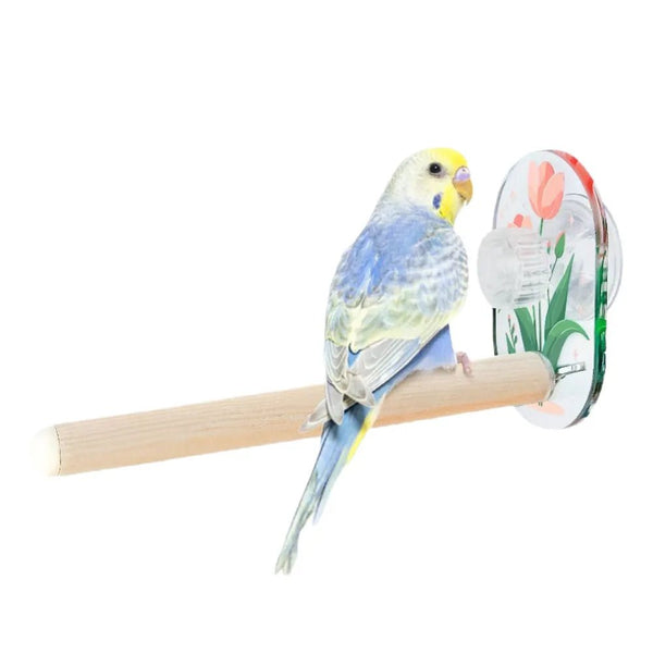 Detachable Pine Wood Bird Perch with Acrylic Suction Cup - GreenFur