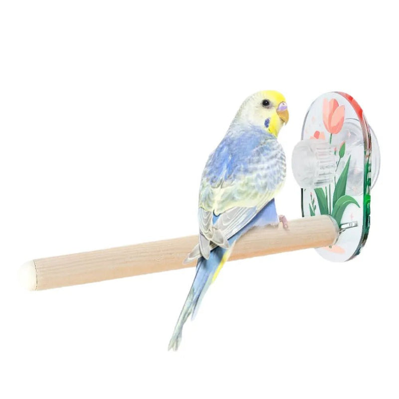 Detachable Pine Wood Bird Perch with Acrylic Suction Cup - GreenFur