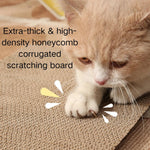 Detachable Semi - Enclosed PP Cat Bed with Scratching Board - GreenFur