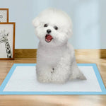 Disposable Dog Pee Pad Super Absorbent Puppy Pee Pad - GreenFur