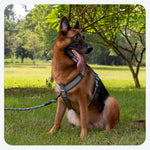 Diving Fabric Anti - Pull Breathable Dog Harness - GreenFur