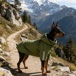 Dog All Season Jacket Rain and Shine Convertible Outdoor Coat with Detachable Hood Reflective Strips - GreenFur