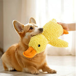 Dog Calming Duck Plush Toy with Quacking Sound - GreenFur