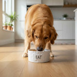 Dog Cat White Ceramic Material Food Water Pet Bowl - GreenFur