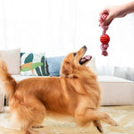 Dog Chew Proof Interactive Toys Ball Dog Rope Toys - GreenFur