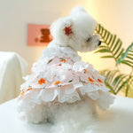 Dog Dresses Pet Clothes Summer Dog Costumes Pet Wedding Skirt Cat Apparel - GreenFur