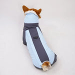 Dog Full Coverage Raincoat Leash Compatible Outdoor Waterproof Windproof Jacket - GreenFur