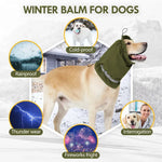 Dog Hat and Neck Warmer Set for Winter Outdoor Protection - GreenFur