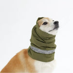 Dog Hat and Neck Warmer Set for Winter Outdoor Protection - GreenFur