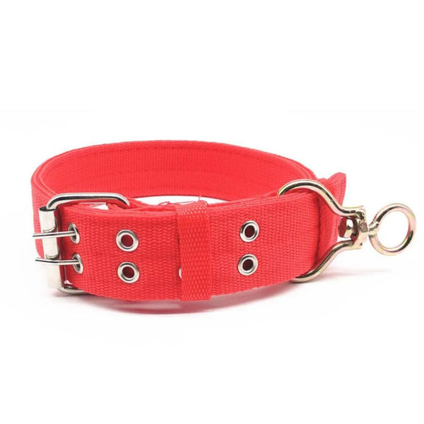 Dog Neck Collars for Small and Medium - sized Dogs Pet Supplies Collars - GreenFur