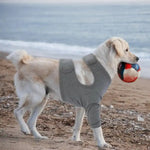 Dog Recovery Sleeves for Front Legs Dog Leg Sleeve - GreenFur