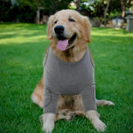 Dog Recovery Sleeves for Front Legs Dog Leg Sleeve - GreenFur