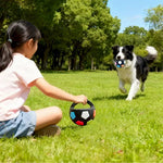 Dog Soccer Ball Interactive Training Toy - GreenFur