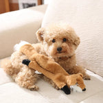 Dog Squeaky Toys No Stuffing Dog Toys for Small Medium Large Dogs - GreenFur