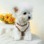 Dog T-shirt with Ice Cream Bear Pattern - GreenFur