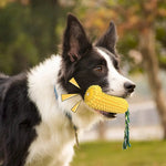 Dog Tooth Clean Toy TPR Corn Shape Squeaky Dog Toys - GreenFur