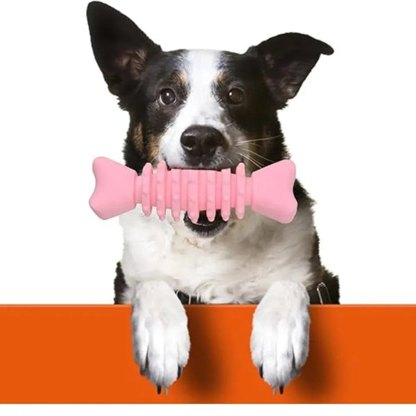Dog Toy for Aggressive Chewer with Bone Design - GreenFur
