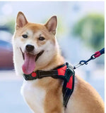 Dog Vest Harness with Handle, Pet Harness for Small Medium Large Dogs - GreenFur