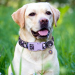 Dogs Collar Cute Flower Dog Collars for Girl Female Small Medium Large Dogs - GreenFur