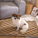 Double Sided Checkerboard Pattern Pet Blanket - GreenFur