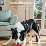 Dragon Fruit Dog Toy Interactive Durable Chew - Proof Rubber Dog Toy - GreenFur
