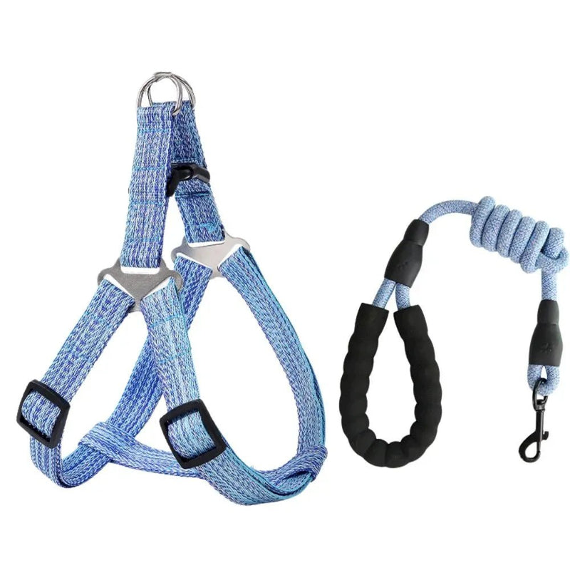Durable and Adjustable Harness and Leash Set for Dog - GreenFur