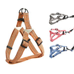 Durable and Adjustable Harness and Leash Set for Dog - GreenFur