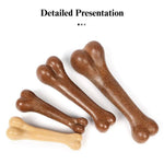 Durable Beef Scented Chew Bone Dog Toy - GreenFur