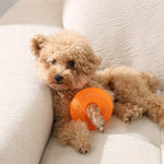 Durable Bite - Resistant Sound - Squeaking Spiked Ring TPR Dog Chew Toy - GreenFur
