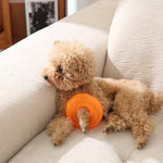 Durable Bite - Resistant Sound - Squeaking Spiked Ring TPR Dog Chew Toy - GreenFur
