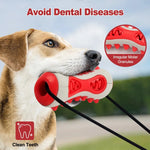 Durable Bone Shaped Chew Toy for Dogs with Suction Cup Food Dispensing - GreenFur