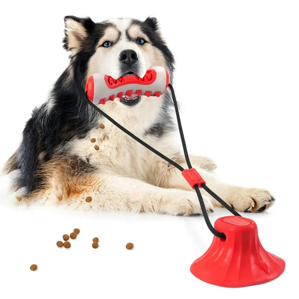 Durable Bone Shaped Chew Toy for Dogs with Suction Cup Food Dispensing - GreenFur