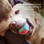 Durable Chew Ball Interactive Toy with Vibrant Colors for Dog - GreenFur