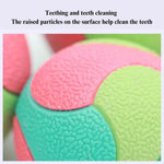 Durable Chew Ball Interactive Toy with Vibrant Colors for Dog - GreenFur