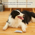 Durable Chew Resistant Cucumber Shape Chew Toy for Dogs - GreenFur