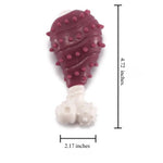 Durable Chewer Tough Stress Relief Dog Chicken Drumstick Toy with Spikes - GreenFur