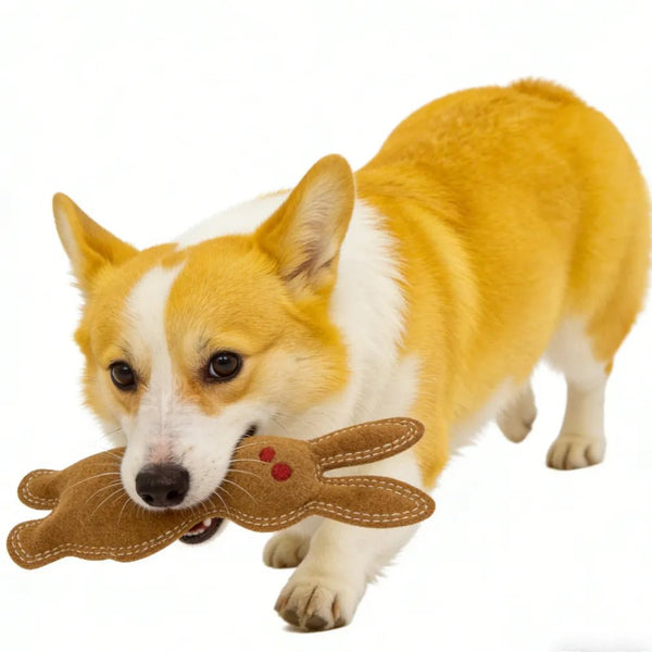 Durable Cow Leather Squeaker Inside Pet Dog Toy - GreenFur