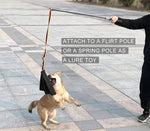Durable Crazy Horse Leather Dog Training Interactive Tug Toy - GreenFur