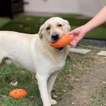 Durable Dog Puzzle TPR Teeth Cleaning Dispensing Rugby Dog Toys - GreenFur