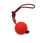 Durable High Bounce Pet Chew Ball for Training and Interactive Play - GreenFur