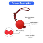 Durable High Bounce Pet Chew Ball for Training and Interactive Play - GreenFur