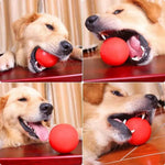 Durable High Bounce Pet Chew Ball for Training and Interactive Play - GreenFur