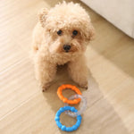 Durable Interactive Tug of War Ring Toy for Dogs Chewing - GreenFur