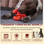Durable Lobster - Shaped Chew Toy for Medium and Large Dogs - GreenFur